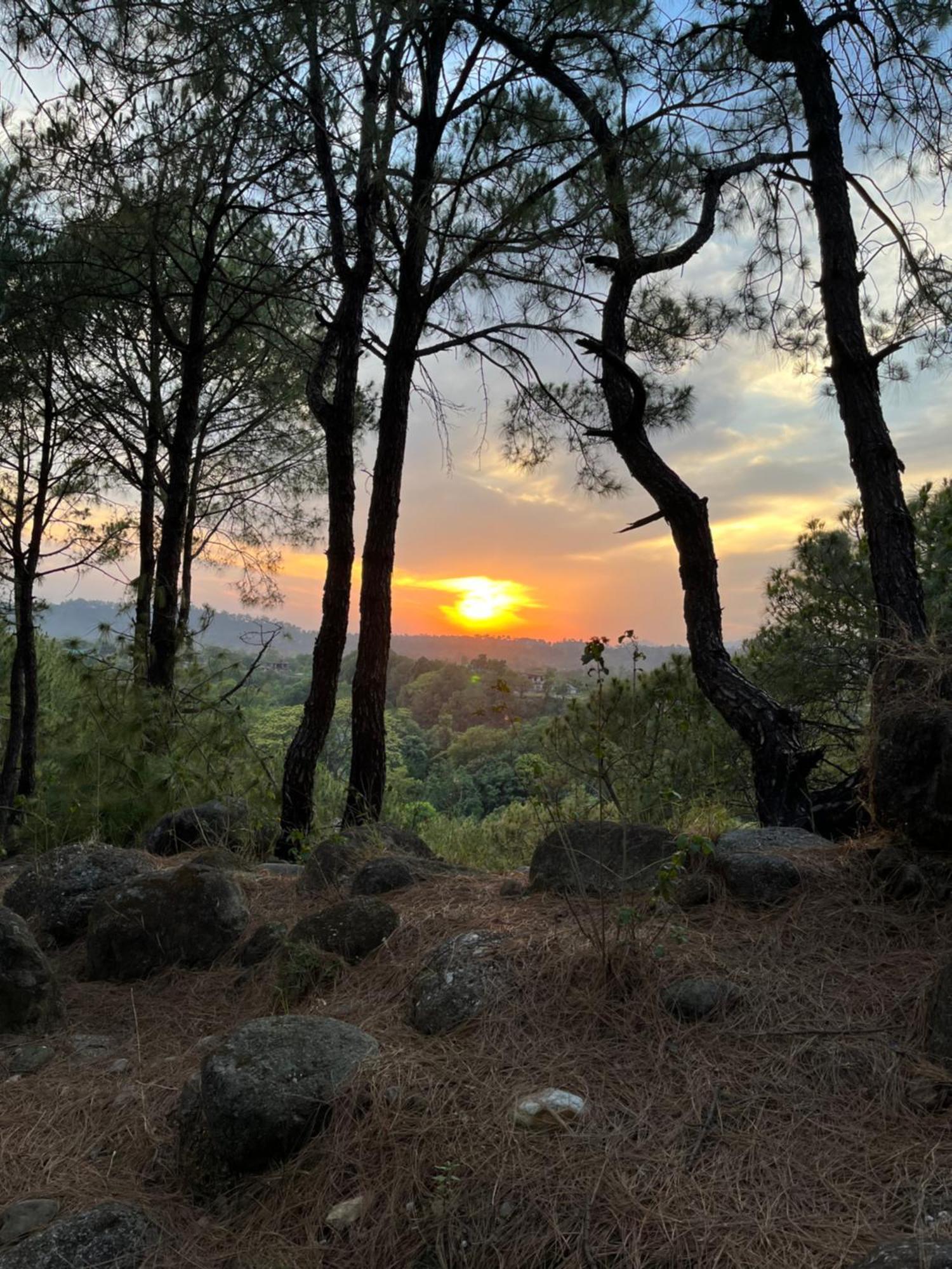 Prakriti Aalay - Riverside Mountain View Boutique Eco Resort Dharamshala Ngoại thất bức ảnh